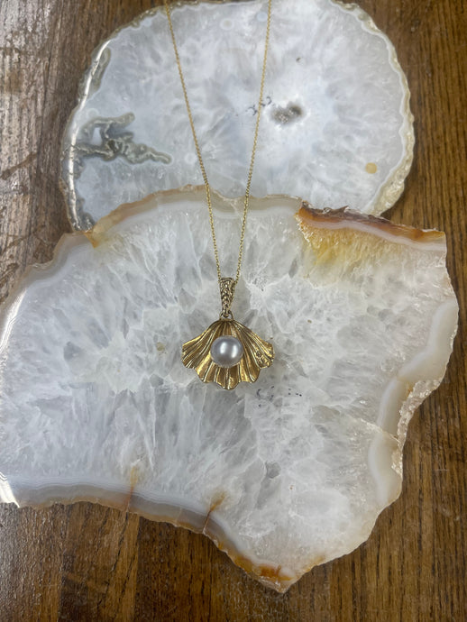 14kt Gold Shell Necklace